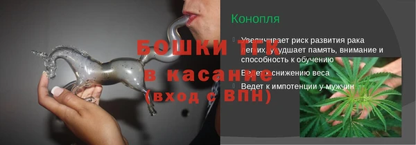 стаф Абаза