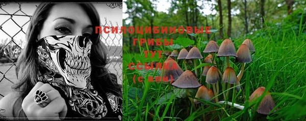 стафф Абинск