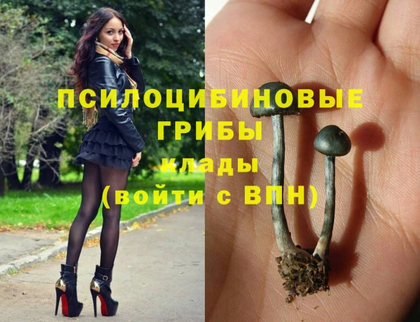 mdpv Дмитриев